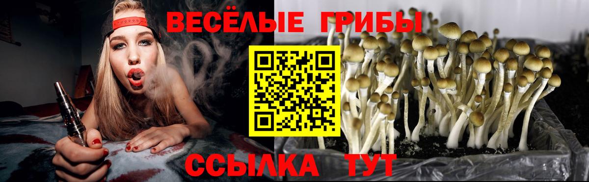 Галлюциногенные грибы GOLDEN TEACHER Соль-Илецк